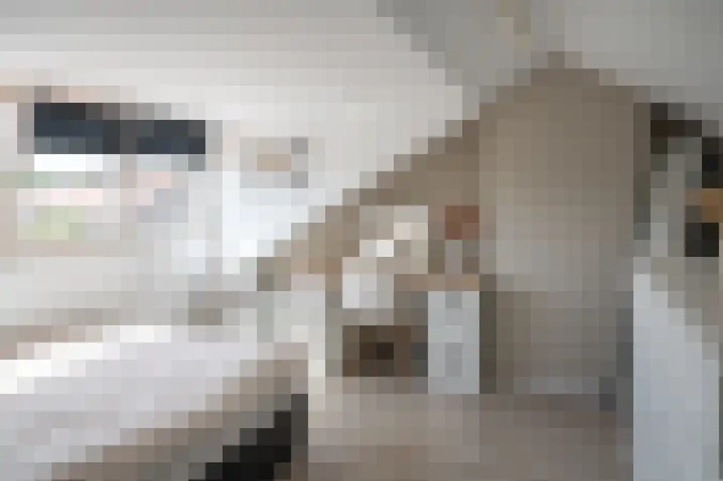 Hertog Karel van Gelrewg 5 Vorden thumbnail 25