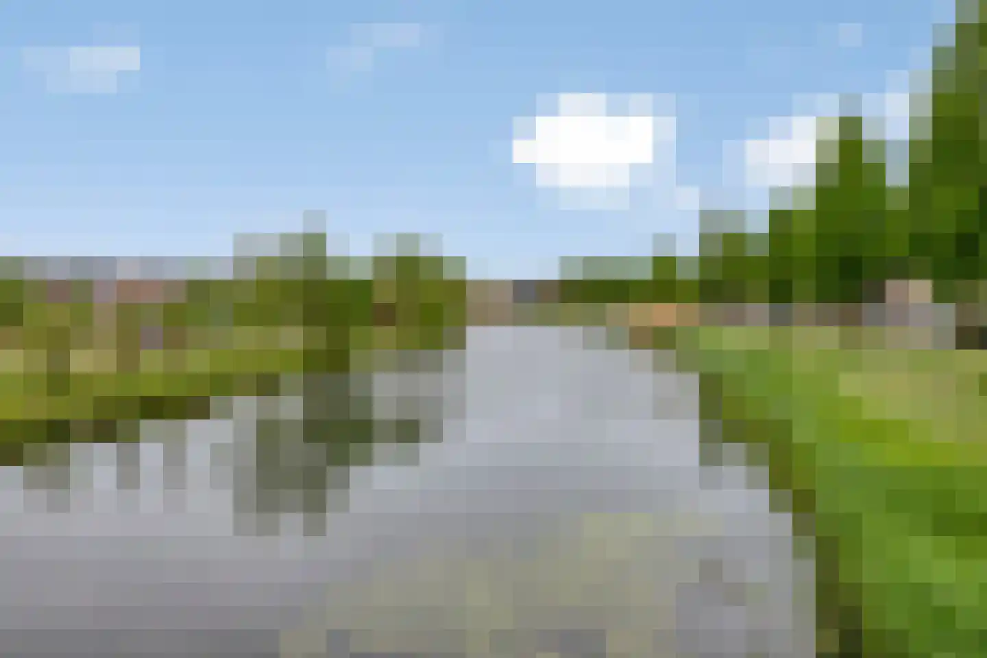 Hertog Karellaan 23 Zaltbommel thumbnail 27