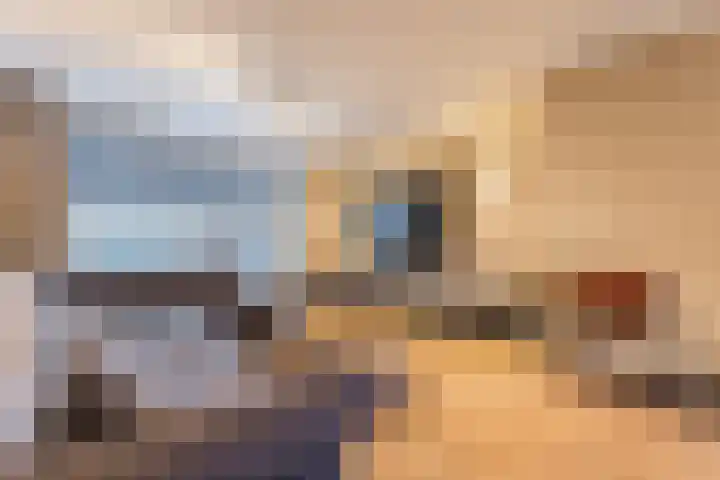 Hertog Karellaan 26 Cuijk thumbnail 8