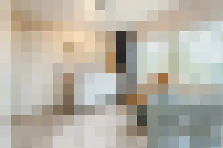 Hertog Karellaan 30 Cuijk thumbnail 21