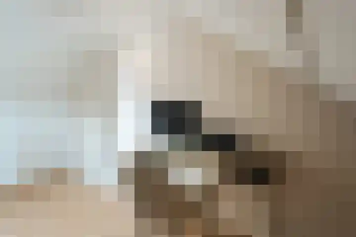 Hertog Karellaan 30 Cuijk thumbnail 27