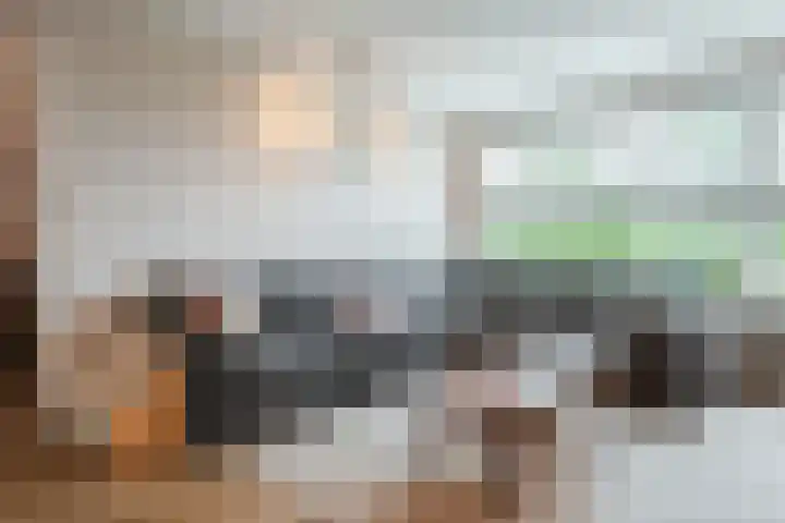 Hertog Karellaan 30 Cuijk thumbnail 7