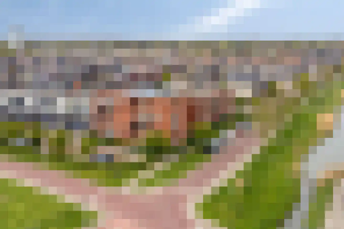 Hertog Karellaan 33 Zaltbommel thumbnail 4