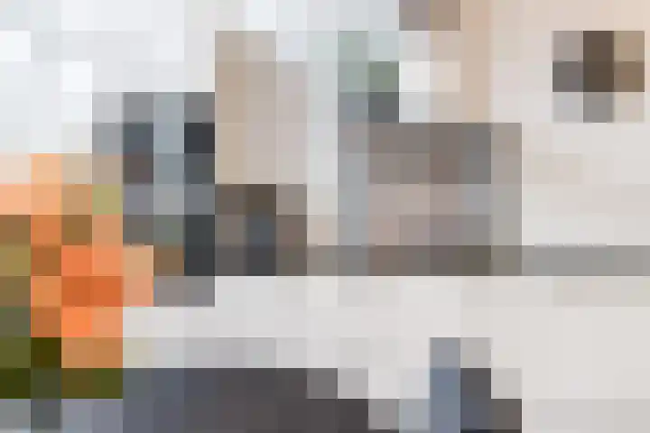 Hertog Karellaan 47 Zaltbommel thumbnail 10
