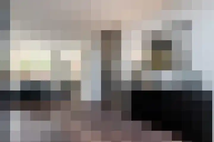 Hertog Karellaan 47 Zaltbommel thumbnail 19
