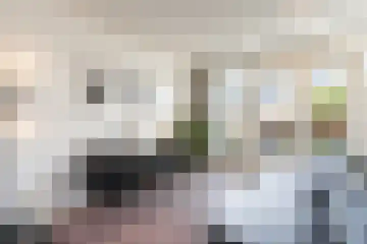 Hertog Karellaan 47 Zaltbommel thumbnail 22