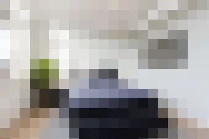 Hertog Karellaan 47 Zaltbommel thumbnail 30