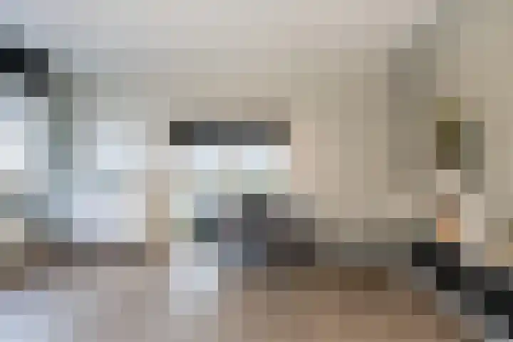 Hertog Karellaan 47 Zaltbommel thumbnail 33