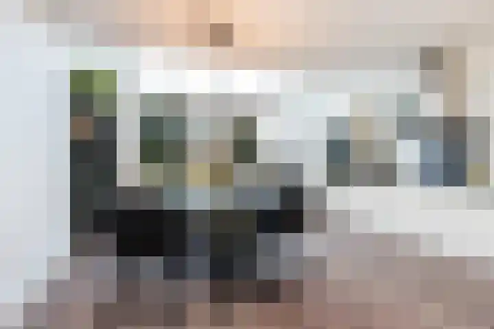 Hertog Karellaan 47 Zaltbommel thumbnail 4