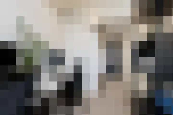 Hertog Karellaan 47 Zaltbommel thumbnail 48