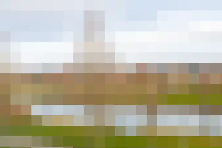 Hertog Karellaan 47 Zaltbommel thumbnail 69