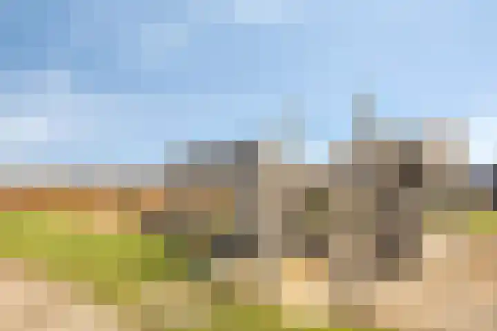 Hertog Karellaan 67 Zaltbommel thumbnail 32