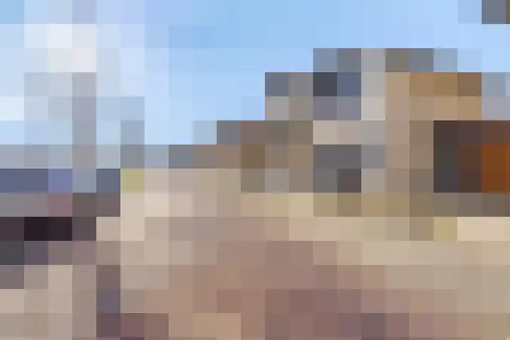 Hertog Karellaan 67 Zaltbommel thumbnail 5