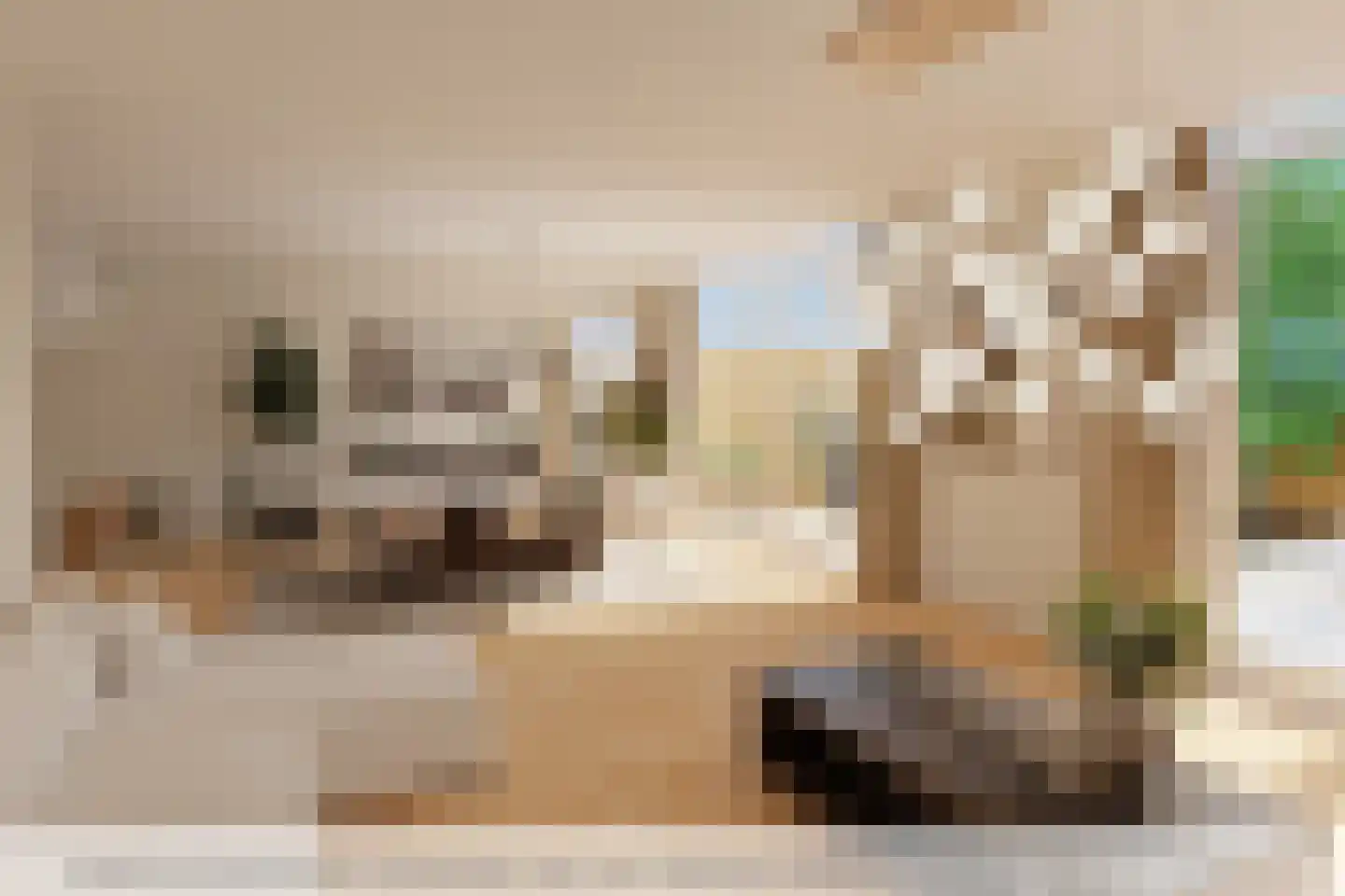 Hertog Karellaan 69 Zaltbommel thumbnail 11