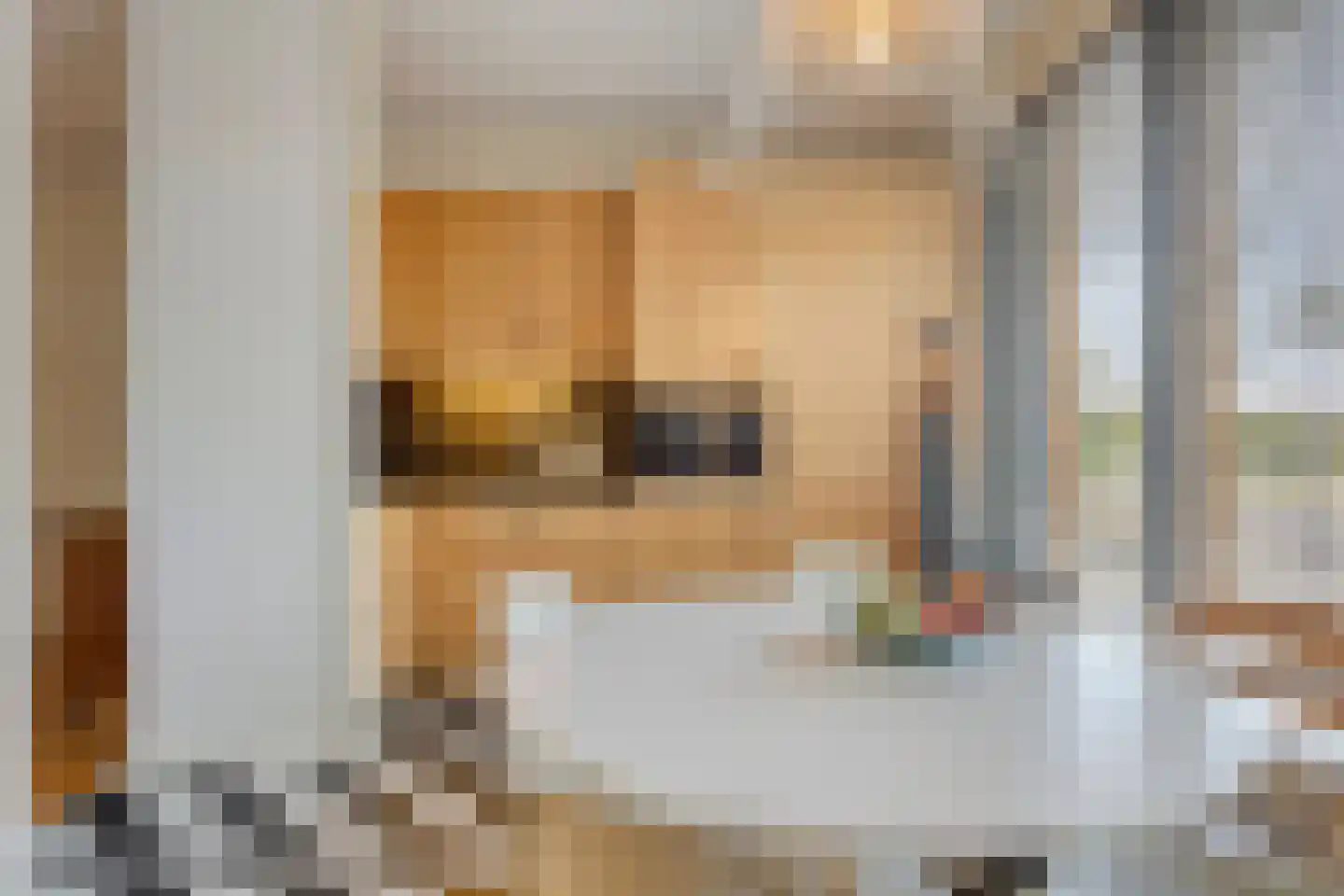 Hertog Karellaan 69 Zaltbommel thumbnail 20