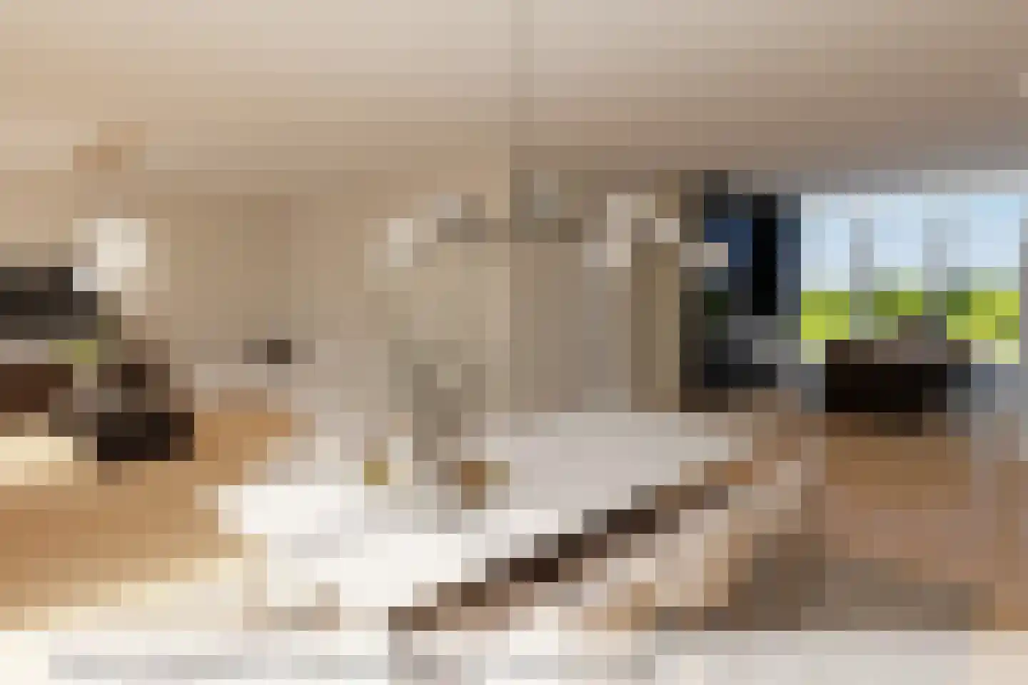 Hertog Karellaan 69 Zaltbommel thumbnail 7