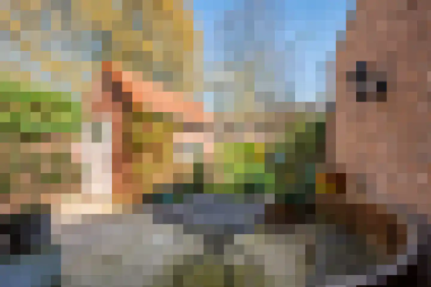 Hertog Reinoudsingel 120 Venlo thumbnail 30