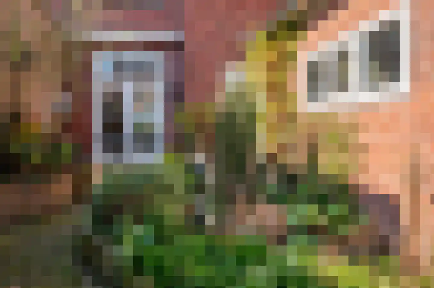 Hertog Reinoudsingel 120 Venlo thumbnail 34