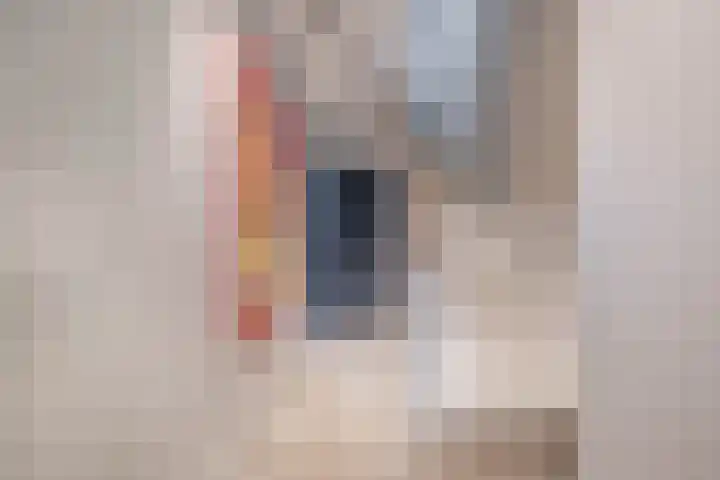 Hertog Reinoudsingel 131 Venlo thumbnail 22