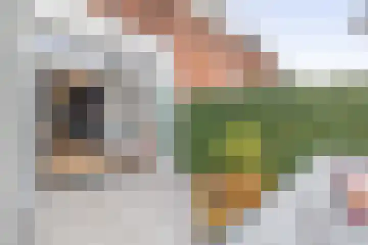 Hertog Reinoudsingel 131 Venlo thumbnail 41