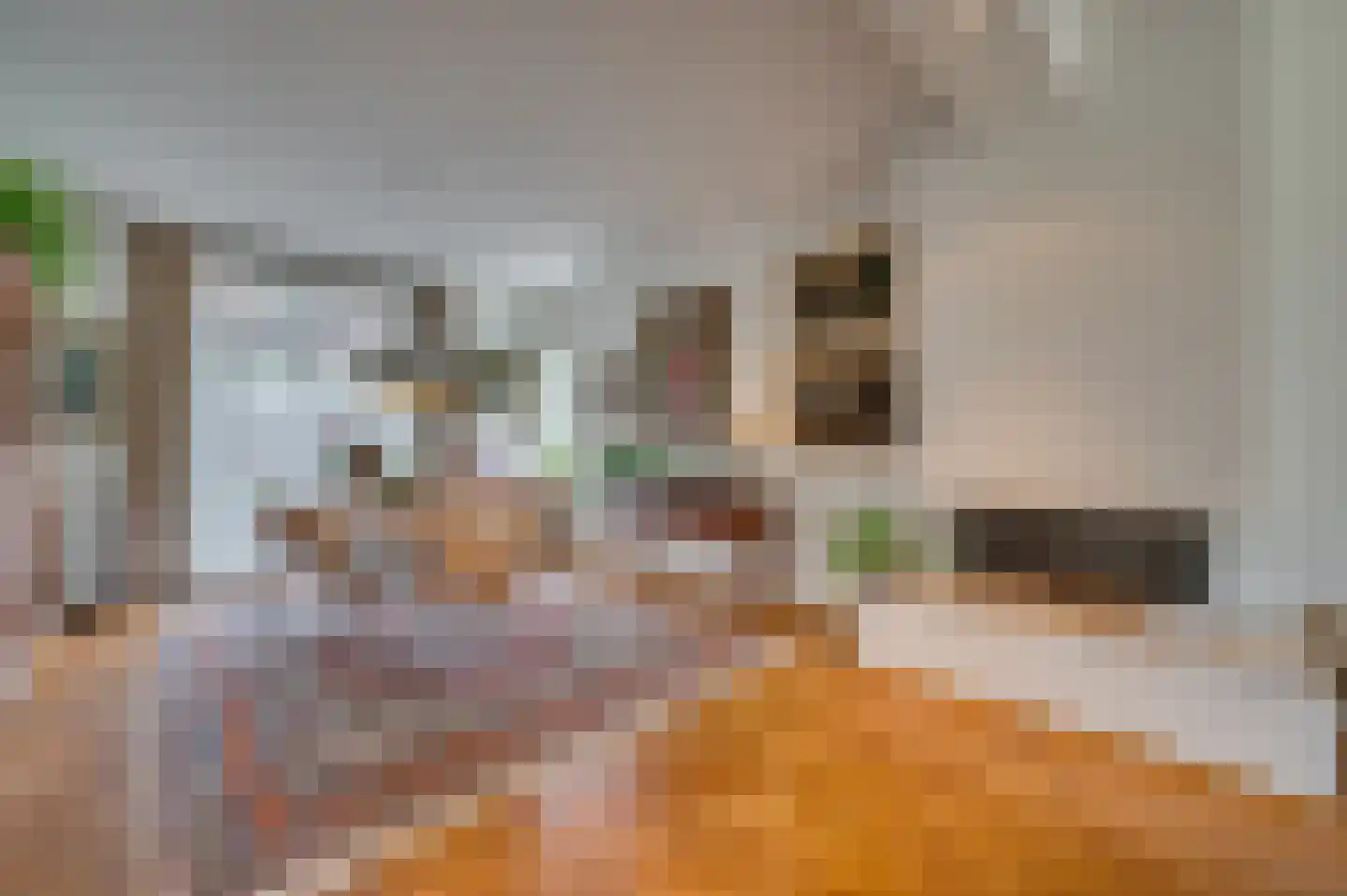 Hertog Reinoudsingel 154 Venlo thumbnail 15