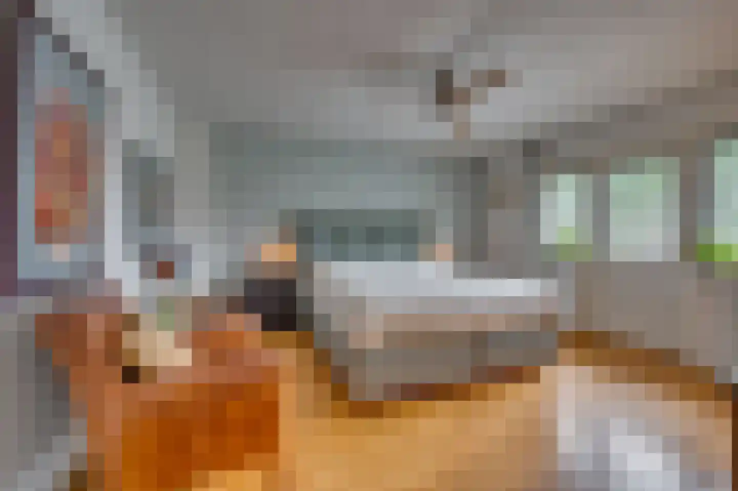 Hertog Reinoudsingel 154 Venlo thumbnail 31