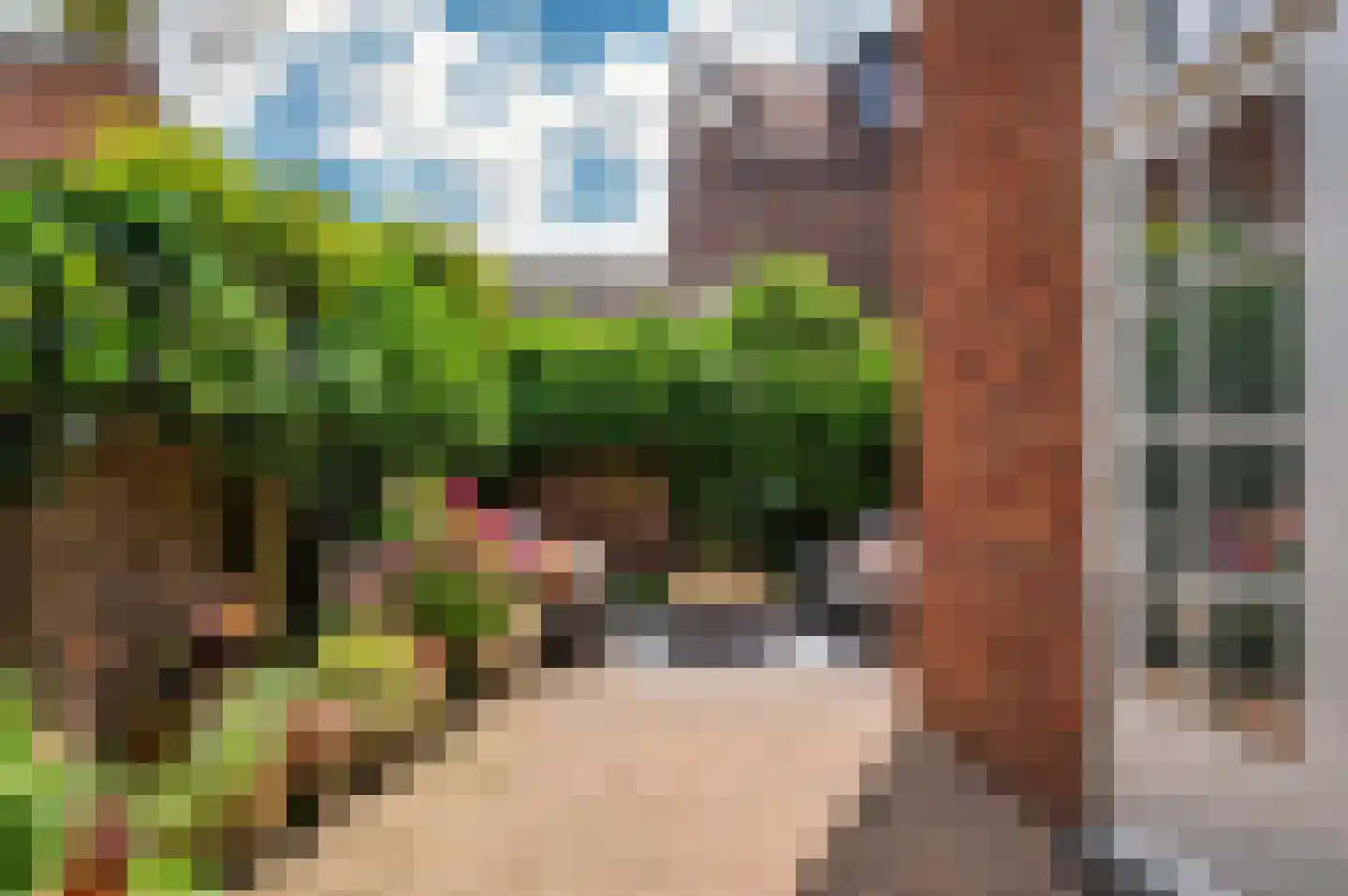 Hertog Reinoudsingel 154 Venlo thumbnail 59