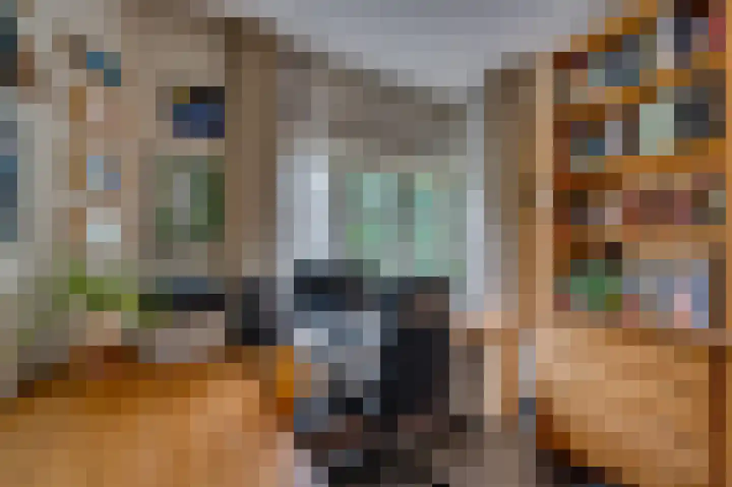 Hertog Reinoudsingel 154 Venlo thumbnail 8