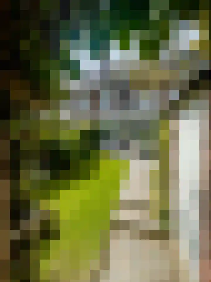 Hertog Reinoudsingel 178 Venlo thumbnail 31