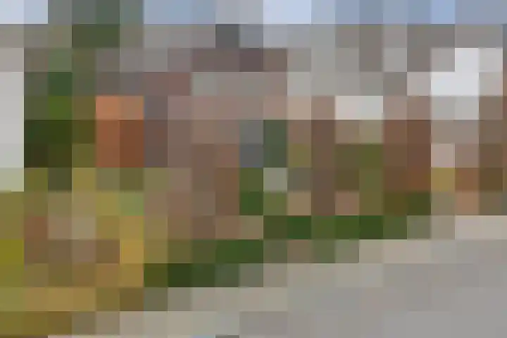 Hertog Reinoudsingel 42 Venlo thumbnail 4