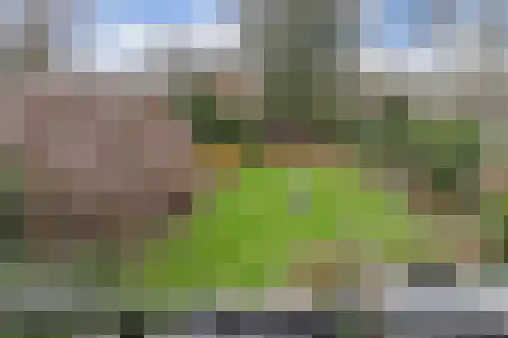 Hertog Reinoudsingel 42 Venlo thumbnail 41