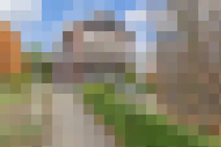 Hertog Reinoudsingel 42 Venlo thumbnail 7