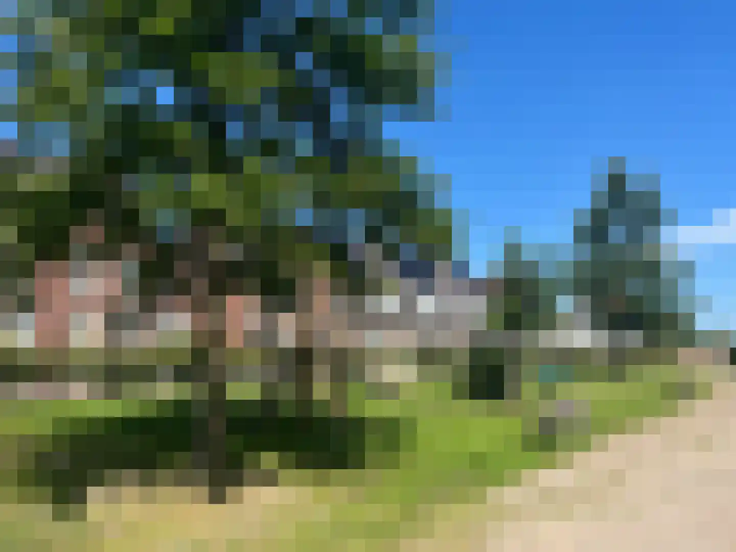 Hertog Reynout 26 Hillegom thumbnail 43