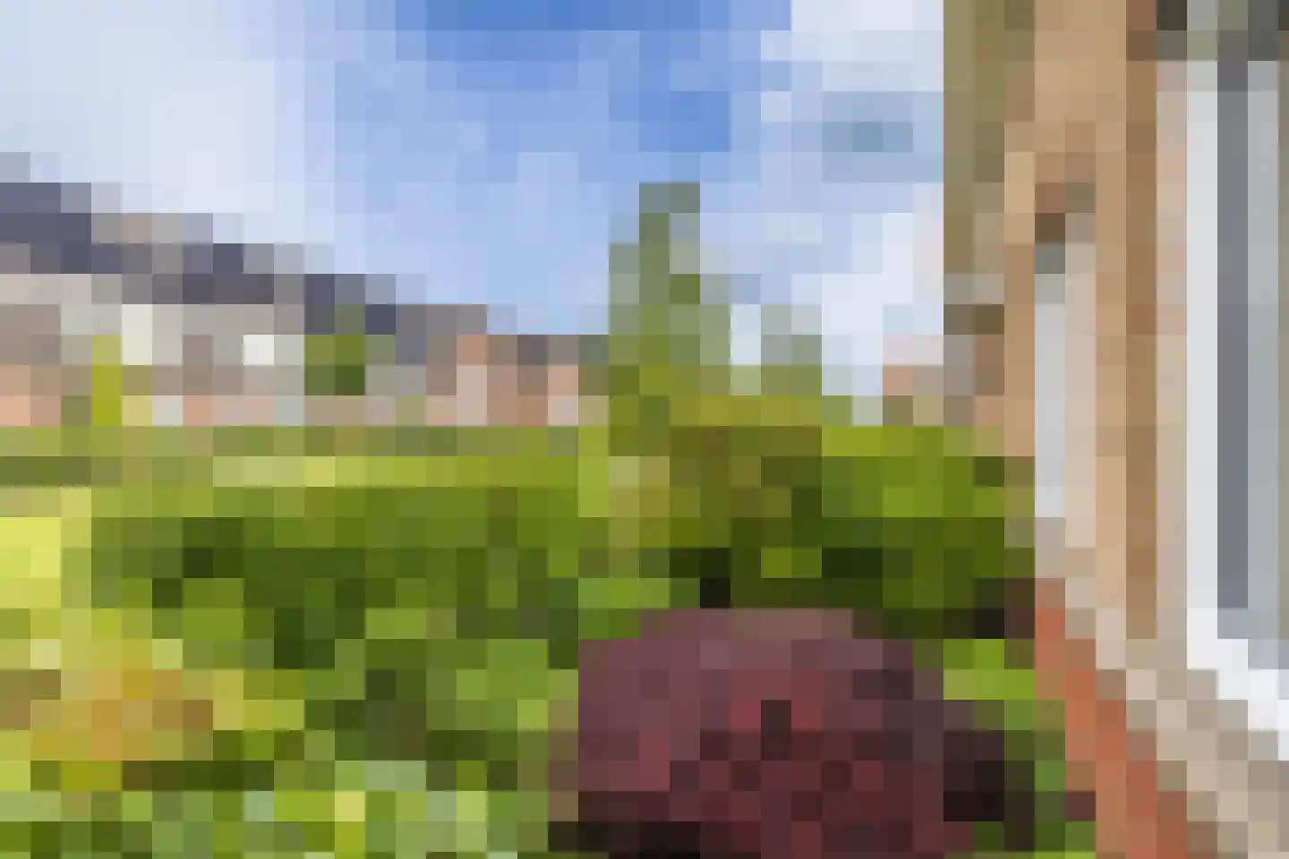 Hertog Reynout 26 Hillegom thumbnail 9