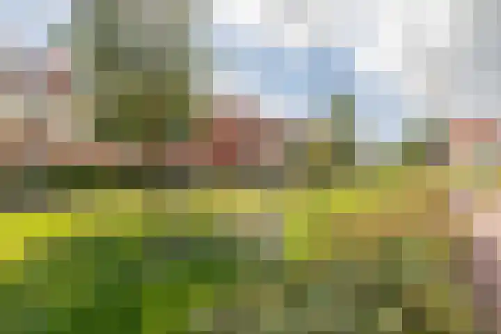 Hertog Reynout 44 Hillegom thumbnail 39