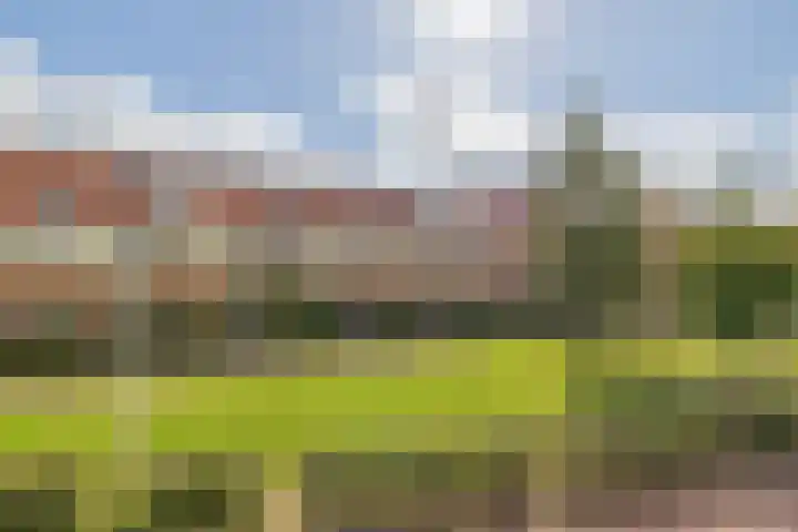 Hertog Reynout 44 Hillegom thumbnail 4