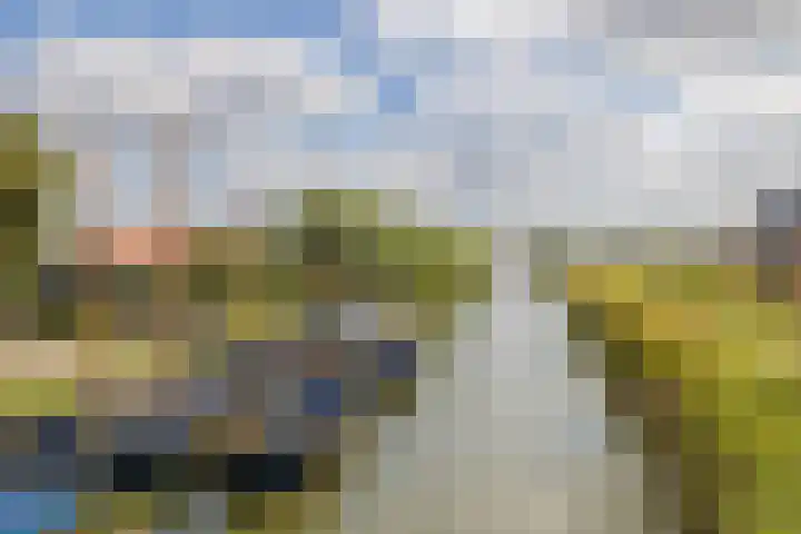 Hertog Reynout 44 Hillegom thumbnail 41