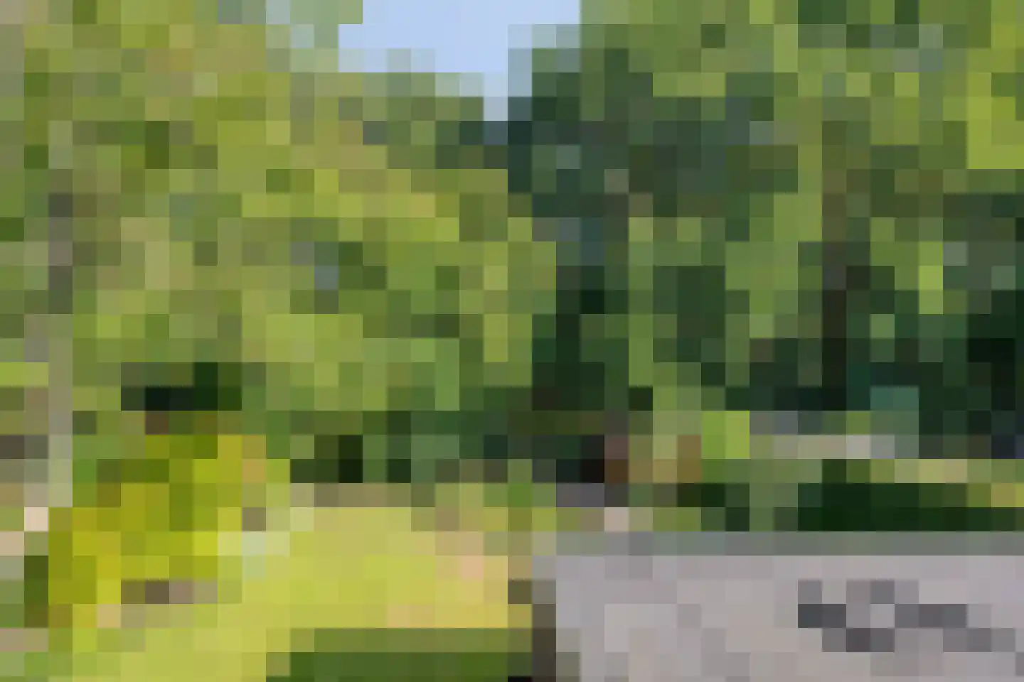 Hertog van Brabantweg 21 Loon op Zand thumbnail 25