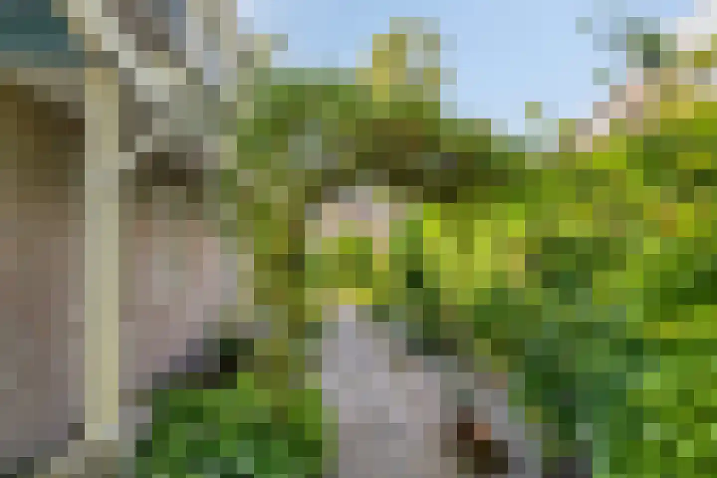Hertog van Brabantweg 21 Loon op Zand thumbnail 26