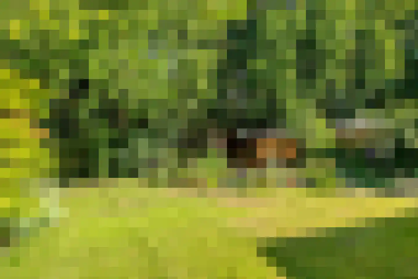 Hertog van Brabantweg 21 Loon op Zand thumbnail 29