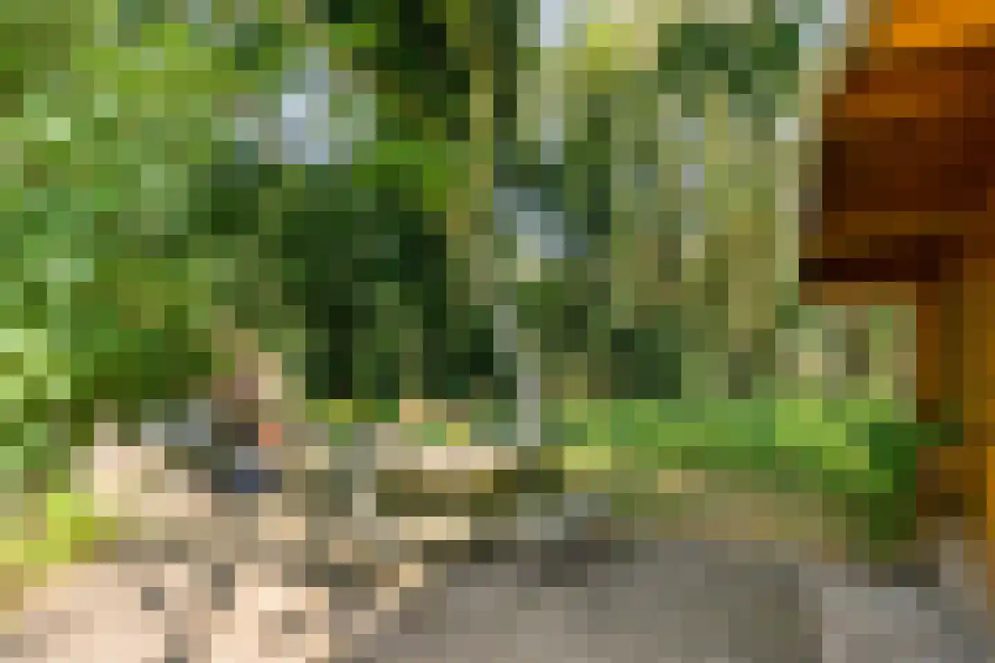 Hertog van Brabantweg 21 Loon op Zand thumbnail 31