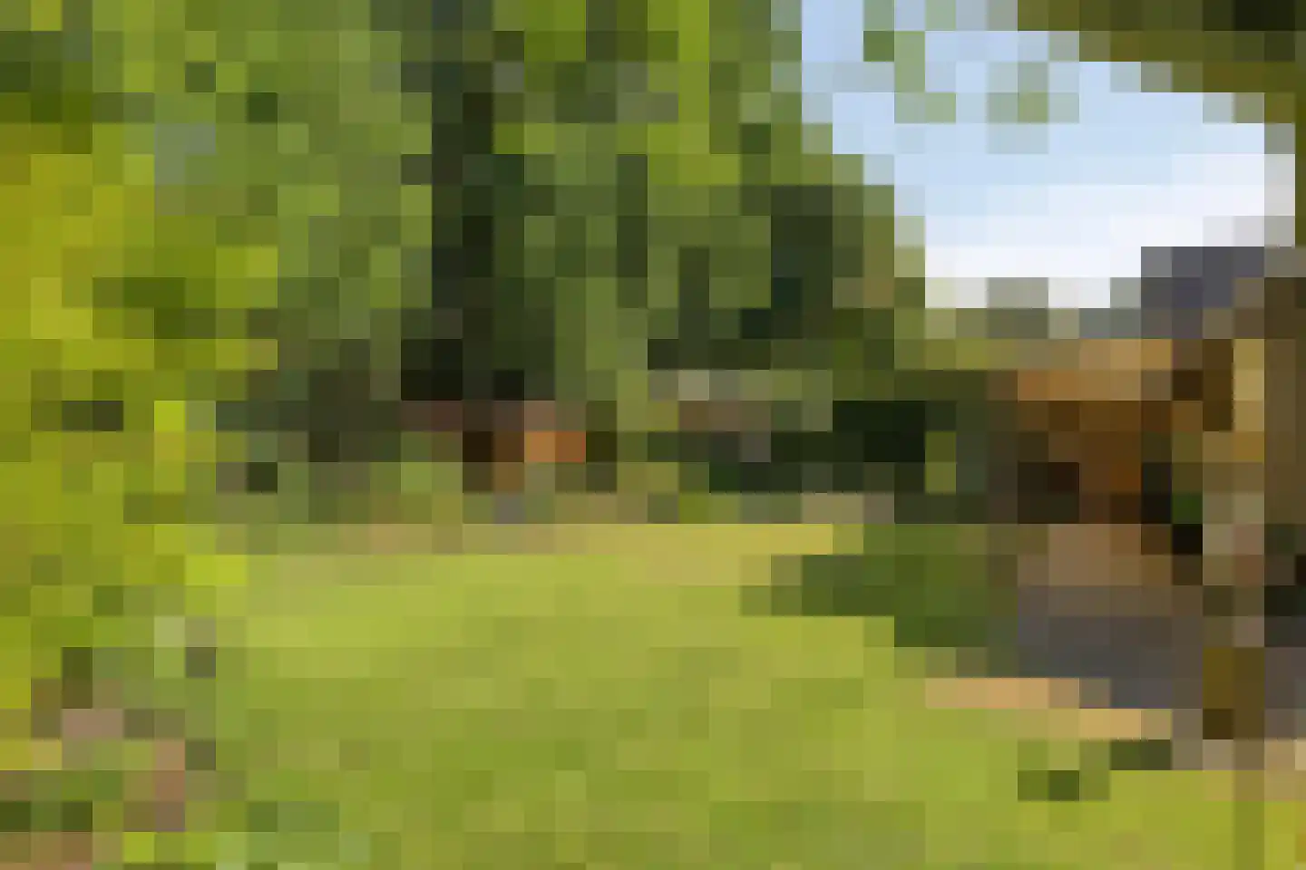 Hertog van Brabantweg 21 Loon op Zand thumbnail 36