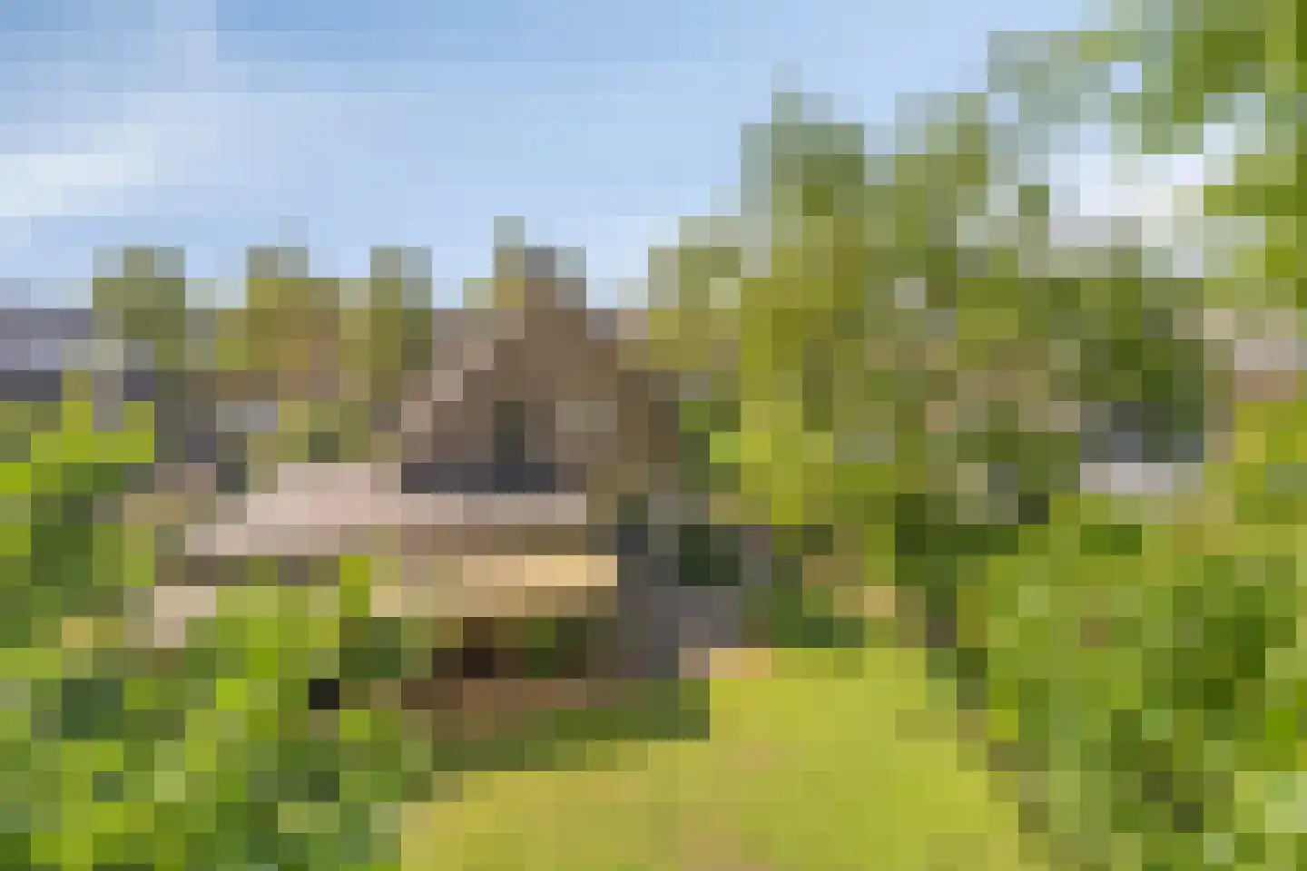 Hertog van Brabantweg 21 Loon op Zand thumbnail 37