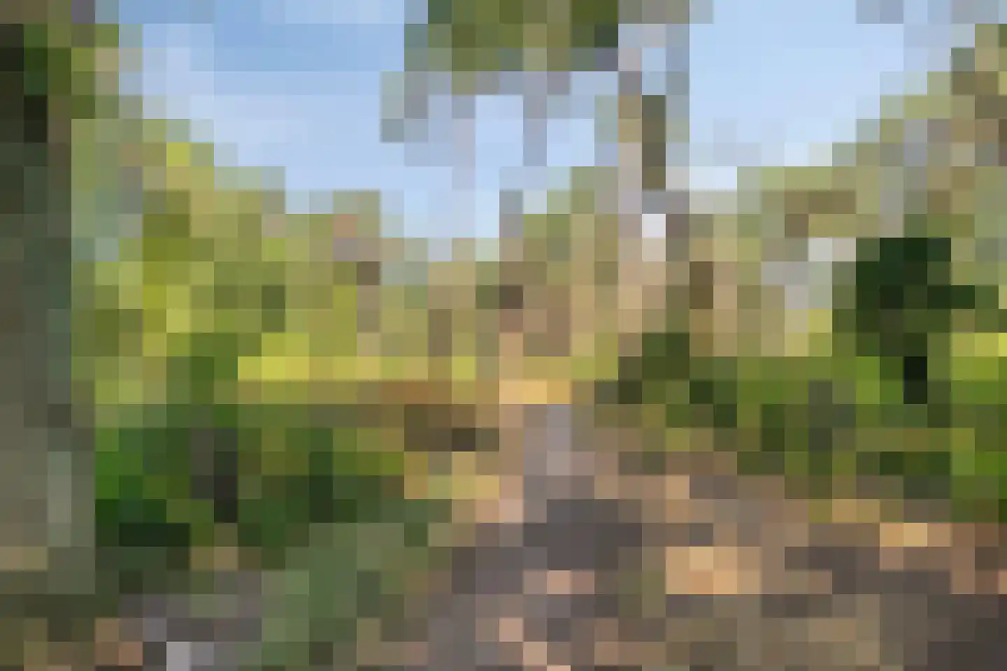 Hertog van Brabantweg 21 Loon op Zand thumbnail 38