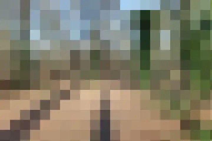 Hertog van Brabantweg 8 Loon op Zand thumbnail 45