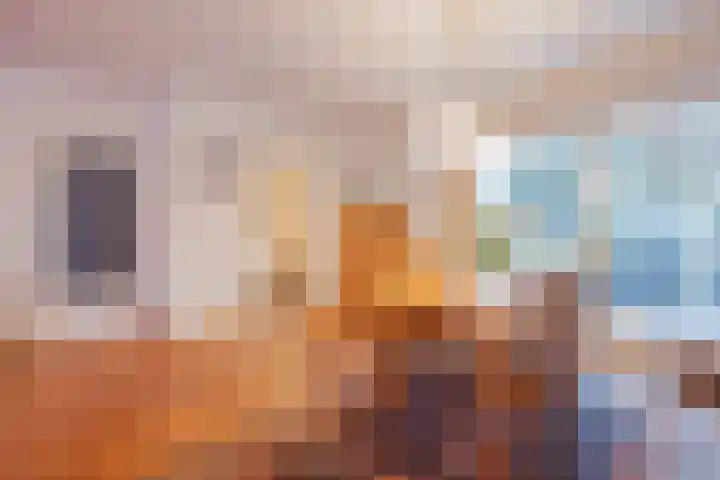 Hertog van Gelresingel 3 Horst thumbnail 15