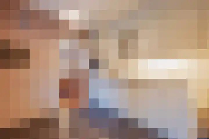 Hertog van Gelresingel 3 Horst thumbnail 18