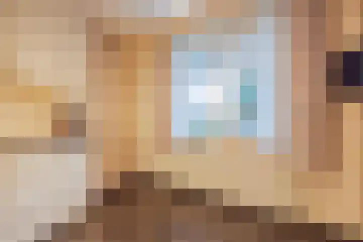 Hertog van Gelresingel 3 Horst thumbnail 19
