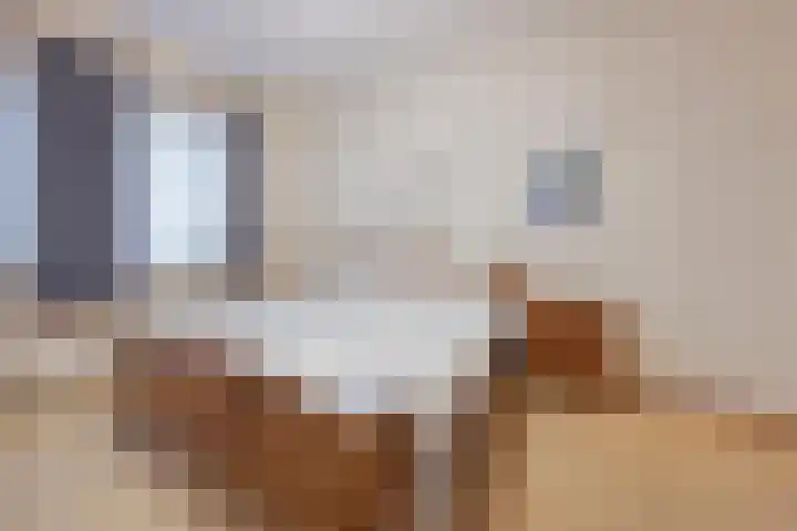 Hertog van Gelresingel 3 Horst thumbnail 22