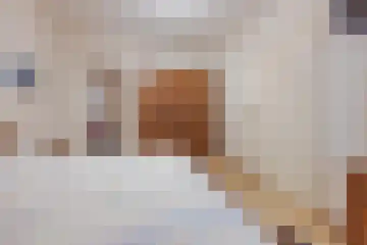 Hertog van Gelresingel 3 Horst thumbnail 23